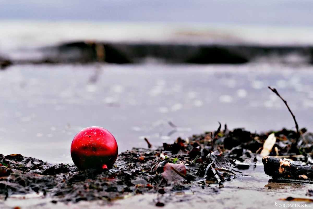 zum fotografieren lernen weihnachtskugel am strand aus bodennaher perspektive