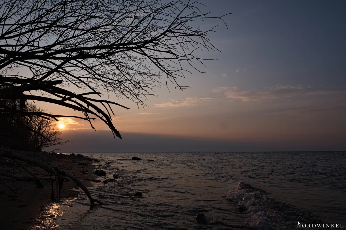 sonnenuntergang fotografieren mit belichtungsreihe vordergrund schwarz sonne und himmel zu erkennen, an der ostsee mit baum am strand