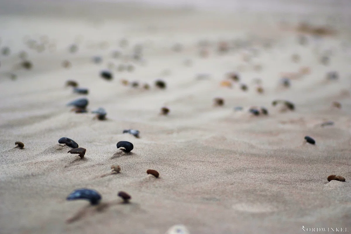 kleine steine am strand mit offener blende fotografiert und verschwommenem vorder- und hintergrund