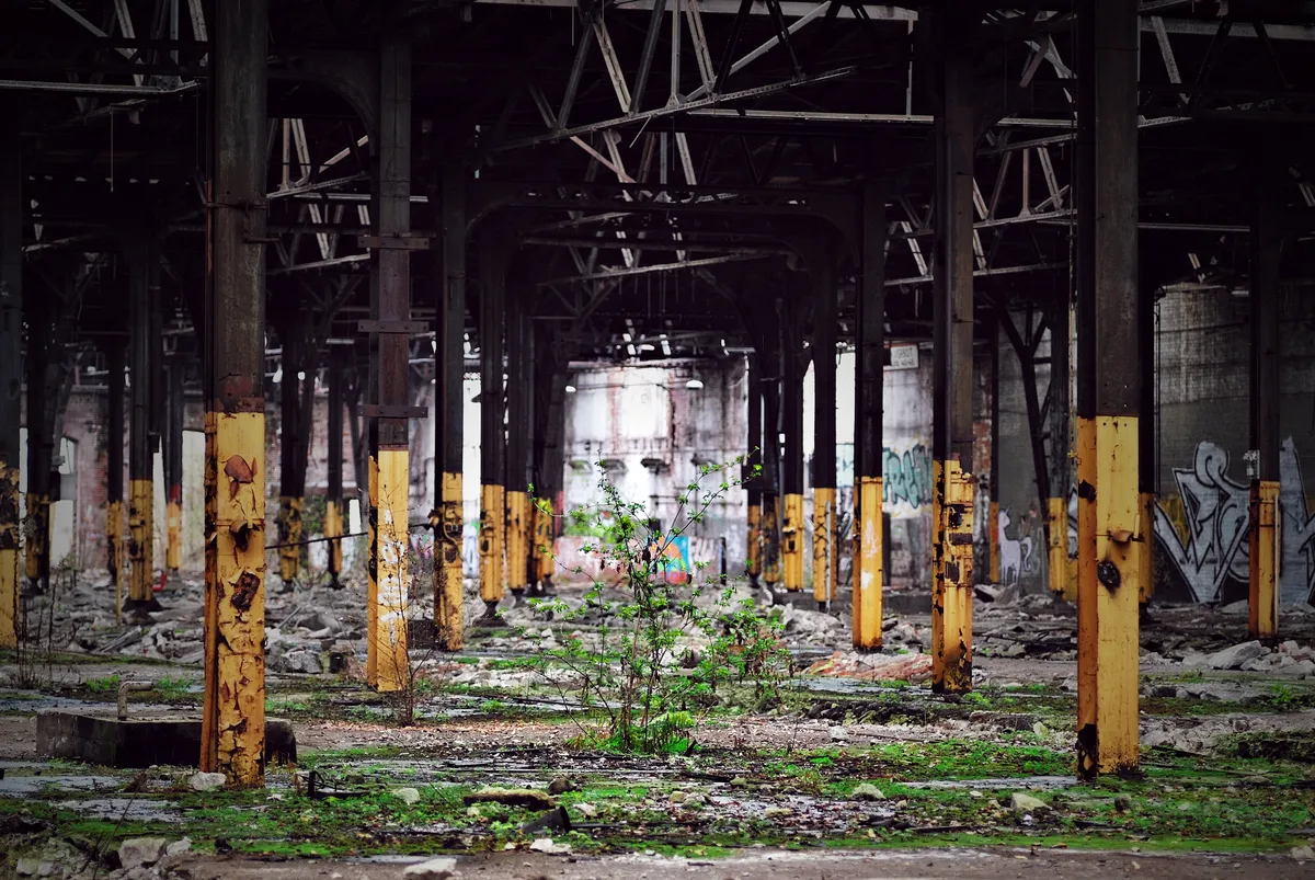 kleiner grüner strau in verlassener industriehalle