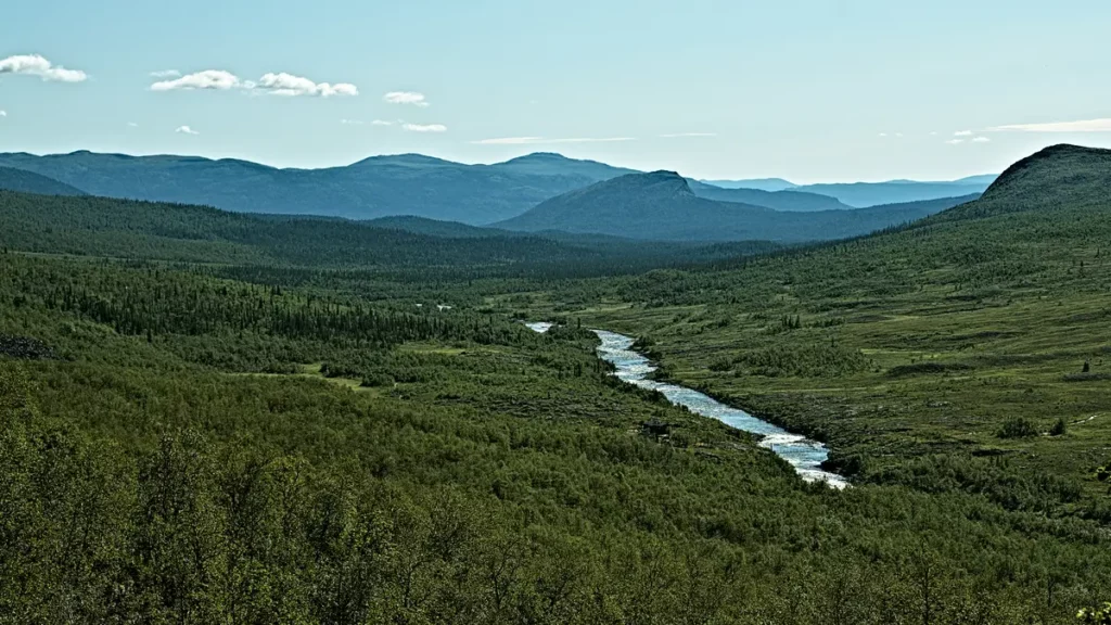 blick von einer anhöhe über wälder einen fluss und weitere berge im hintergrund