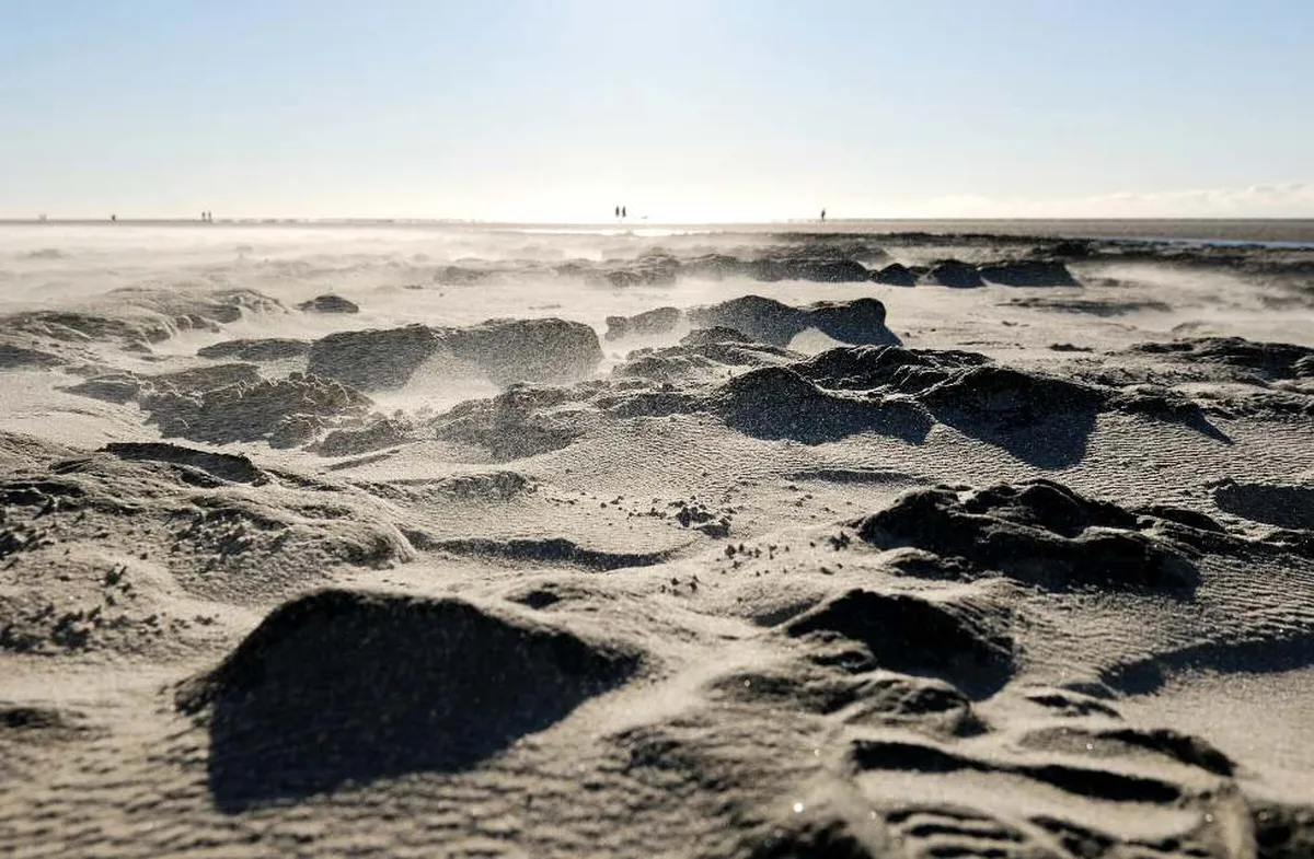 nahaufnahme am sandstrand bei starkem wind mit aufgewirbeltem sand bei sonnenschein